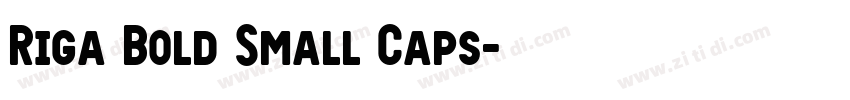 Riga Bold Small Caps字体转换 Riga Bold Small Caps字体转换